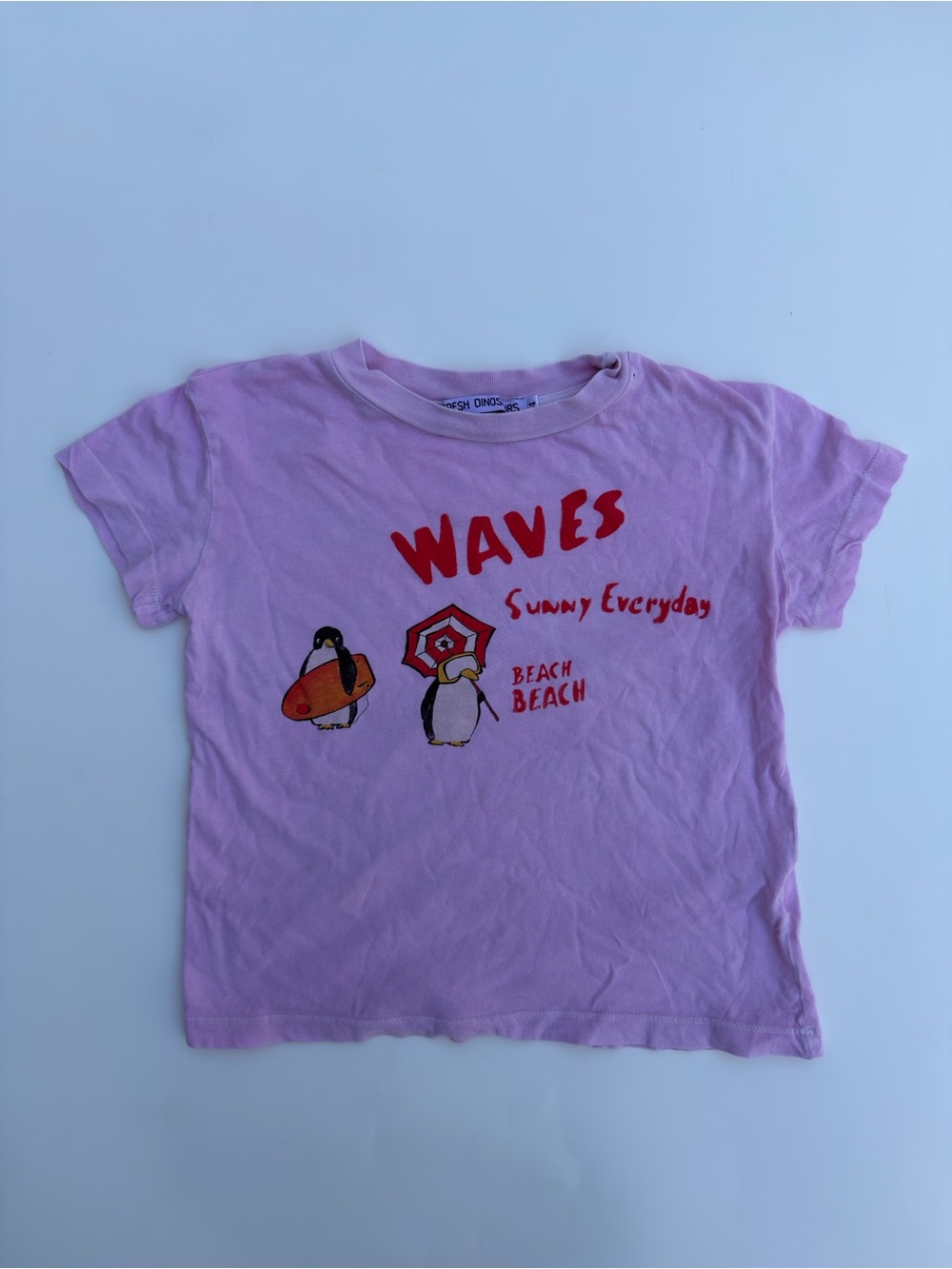 Fresh Dinosaurs Tshirt